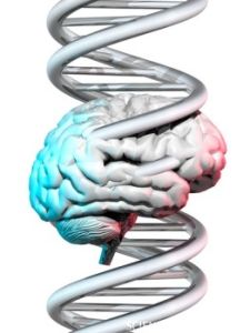 Schizophrenia, Autism Linked to Several of the Same Genes
